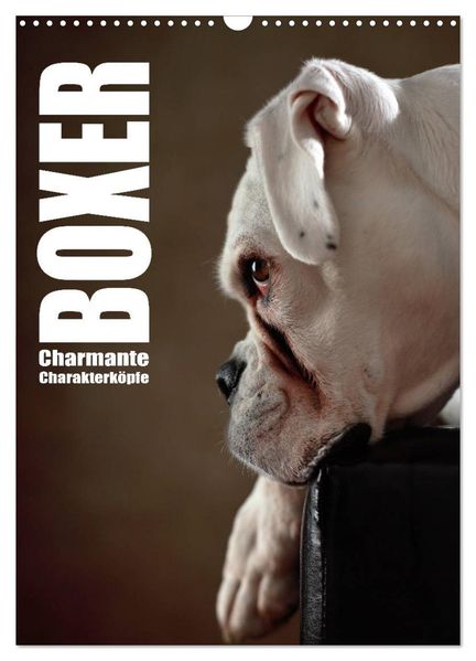 Boxer - Charmante Charakterköpfe (Wandkalender 2027 DIN A3 hoch) CALVENDO Monatskalender