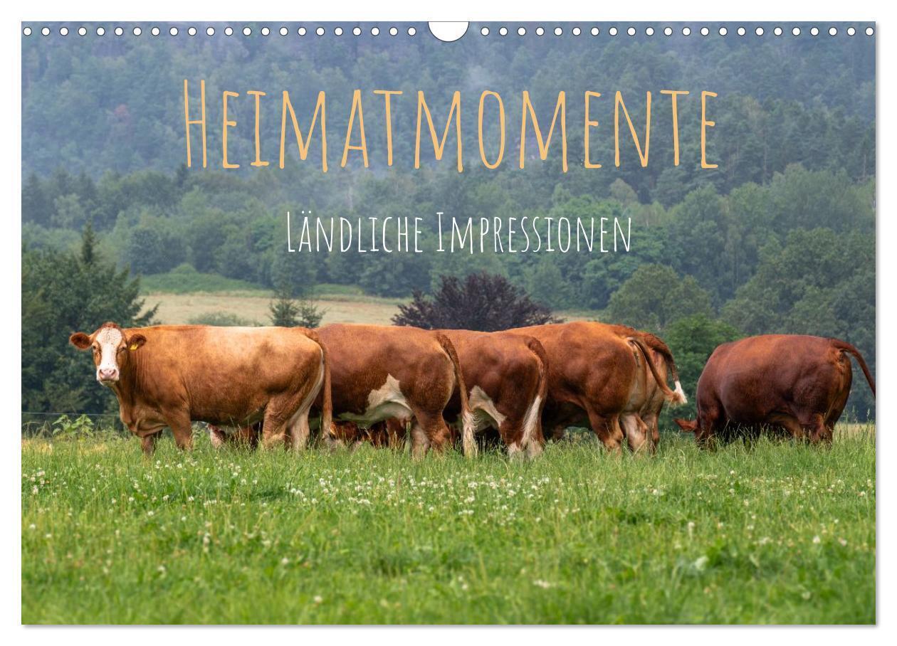 Heimatmomente - Ländliche Impressionen (Wandkalender 2027 DIN A3 quer) CALVENDO Monatskalender