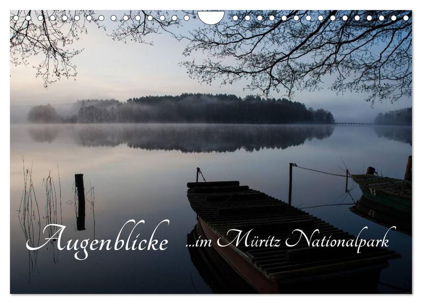 Augenblicke im Müritz Nationalpark (Wandkalender 2027 DIN A4 quer) CALVENDO Monatskalender