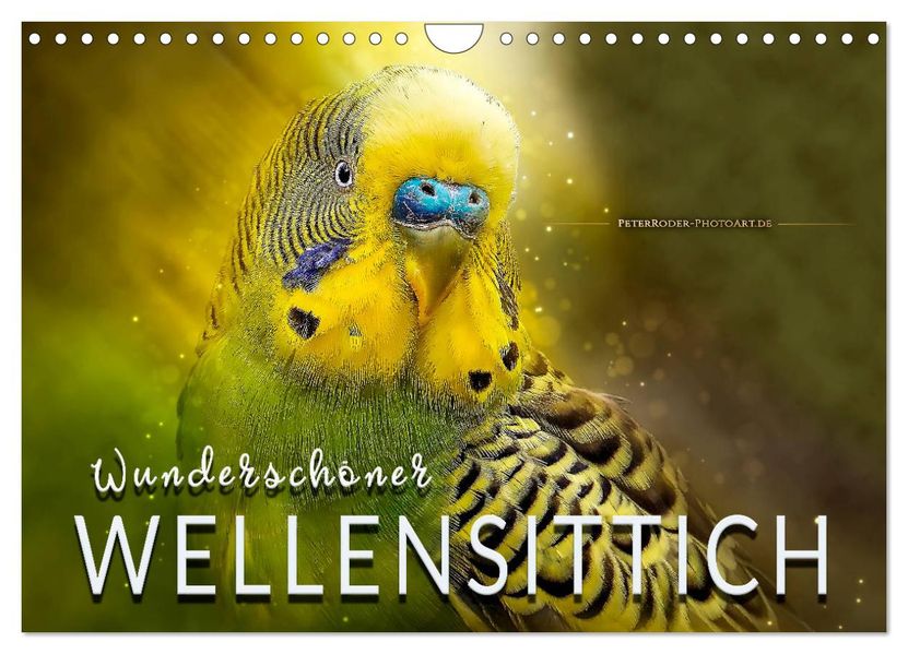 Wunderschöner Wellensittich (Wandkalender 2027 DIN A4 quer) CALVENDO Monatskalender