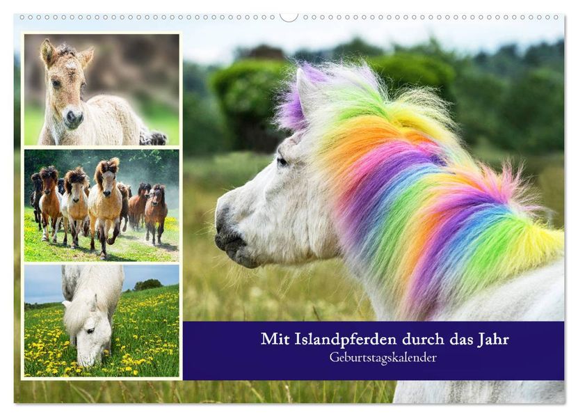 Mit Islandpferden durch das Jahr Geburtstagskalender (Wandkalender 2027 DIN A2 quer) CALVENDO Monatskalender