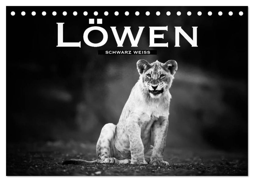 Löwen schwarz weiß (Tischkalender 2027 DIN A5 quer) CALVENDO Monatskalender