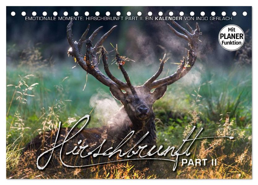 Emotionale Momente: Hirschbrunft. Part II. (Tischkalender 2027 DIN A5 quer) CALVENDO Monatskalender