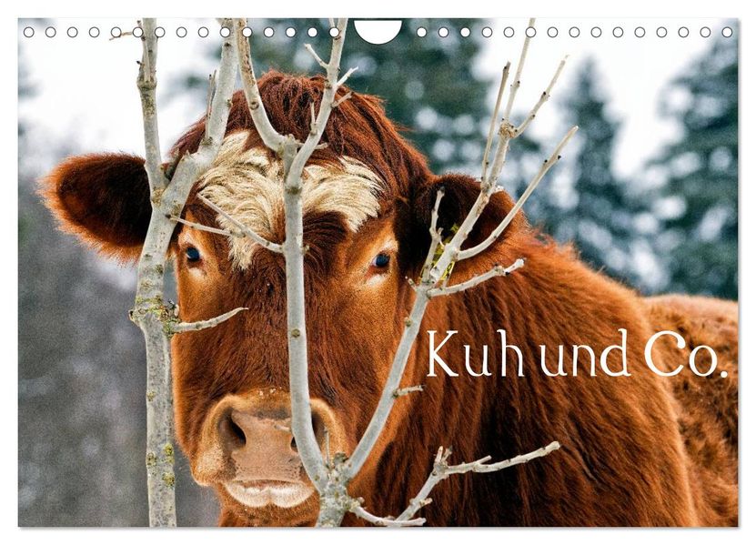 Kuh und Co. (Wandkalender 2027 DIN A4 quer) CALVENDO Monatskalender