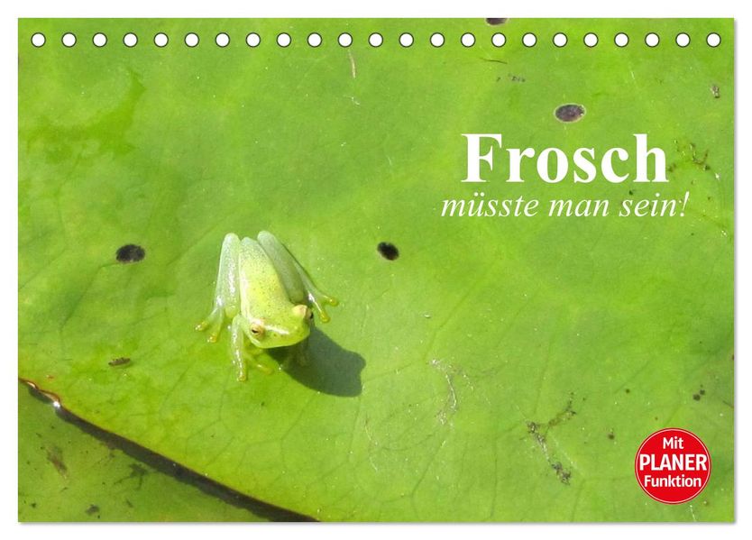 Frosch müsste man sein! (Tischkalender 2027 DIN A5 quer) CALVENDO Monatskalender