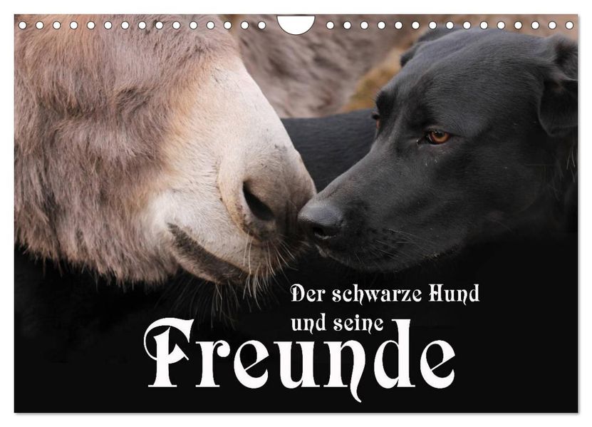 Der schwarze Hund und seine Freunde (Wandkalender 2027 DIN A4 quer) CALVENDO Monatskalender