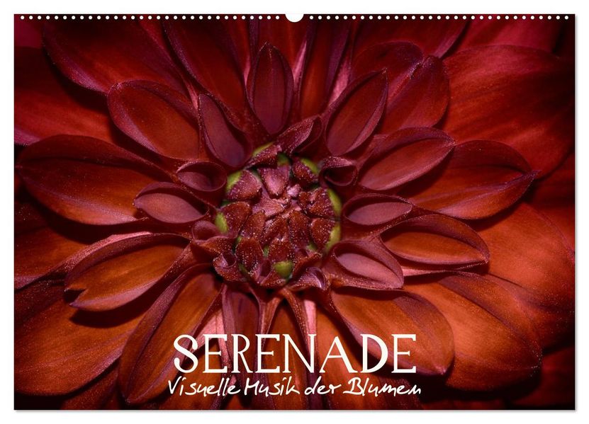 Serenade - Visuelle Musik der Blumen (Wandkalender 2027 DIN A2 quer) CALVENDO Monatskalender
