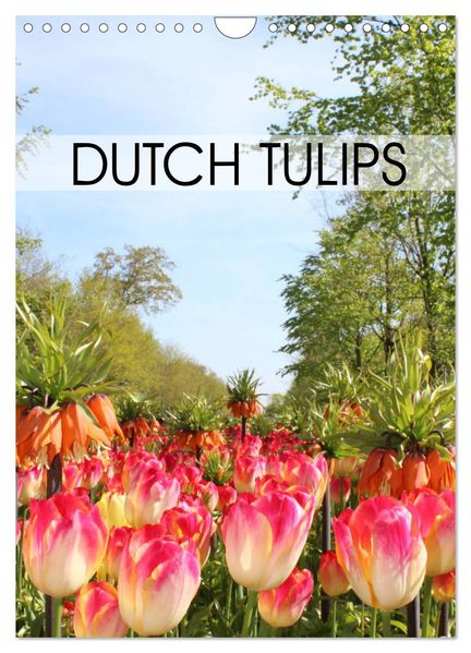 Dutch Tulips (Wall Calendar 2027 DIN A4 portrait) CALVENDO 12 Month Wall Calendar