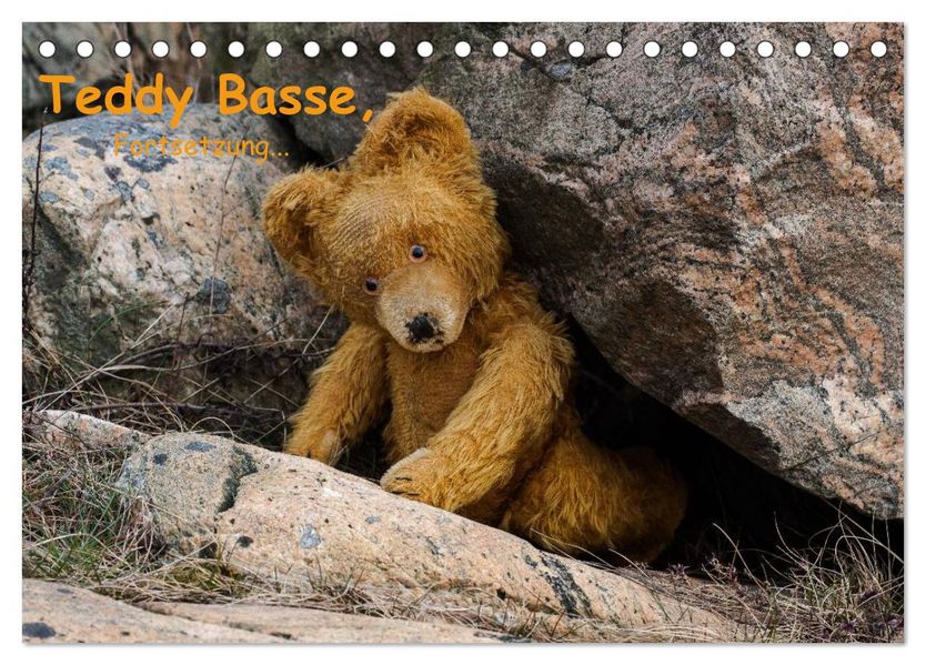 Teddy Basse Fortsetzung... (Tischkalender 2027 DIN A5 quer) CALVENDO Monatskalender