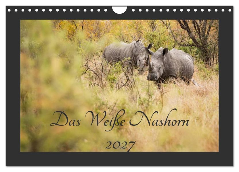 Das Weiße Nashorn (Wandkalender 2027 DIN A4 quer) CALVENDO Monatskalender