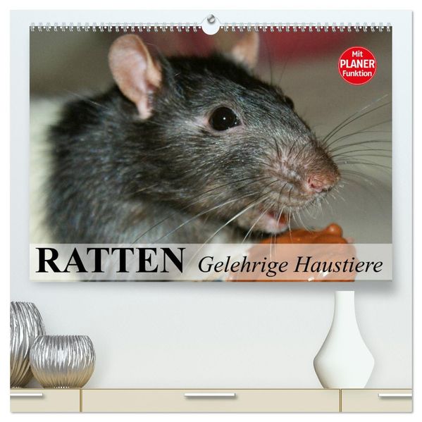 Ratten. Gelehrige Haustiere (hochwertiger Premium Wandkalender 2027 DIN A2 quer) Kunstdruck in Hochglanz