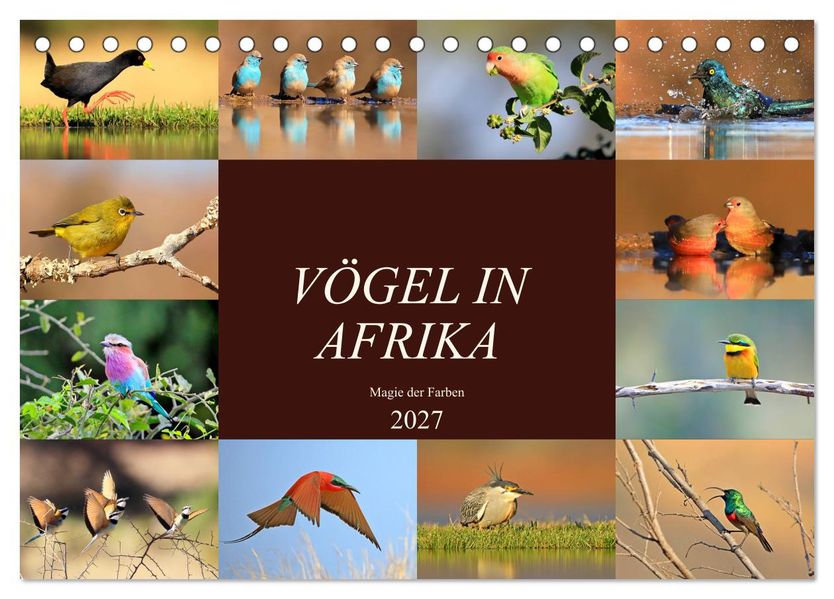 Vögel in Afrika - Magie der Farben (Tischkalender 2027 DIN A5 quer) CALVENDO Monatskalender