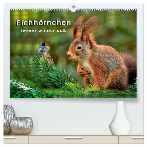 Eichhörnchen - immer wieder süß (hochwertiger Premium Wandkalender 2027 DIN A2 quer) Kunstdruck in Hochglanz