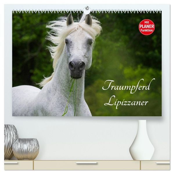 Traumpferd Lipizzaner (hochwertiger Premium Wandkalender 2027 DIN A2 quer) Kunstdruck in Hochglanz