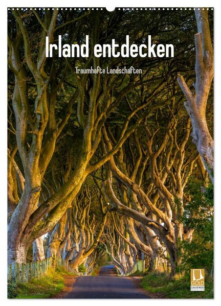 Irland entdecken (Wandkalender 2027 DIN A2 hoch) CALVENDO Monatskalender