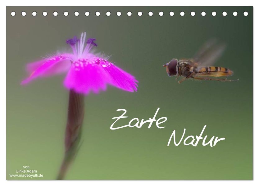 Zarte Natur 2027 (Tischkalender 2027 DIN A5 quer) CALVENDO Monatskalender