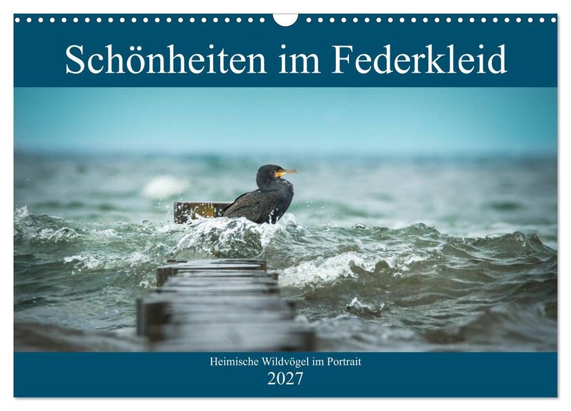 Schönheiten im Federkleid - Heimische Wildvögel im Portrait (Wandkalender 2027 DIN A3 quer) CALVENDO Monatskalender