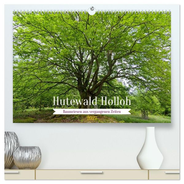 Hutewald Halloh - Baumriesen aus vergangenen Zeiten (hochwertiger Premium Wandkalender 2027 DIN A2 quer) Kunstdruck in Hochglanz