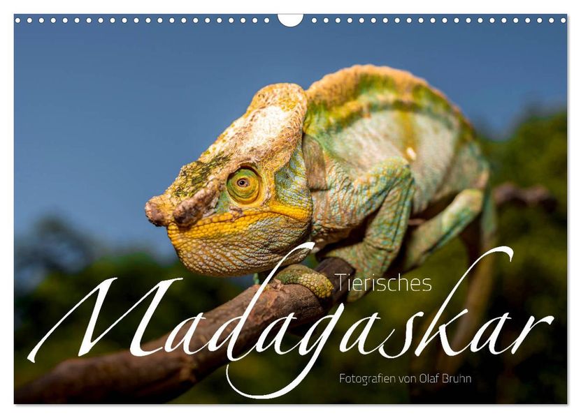 Tierisches Madagaskar (Wandkalender 2027 DIN A3 quer) CALVENDO Monatskalender