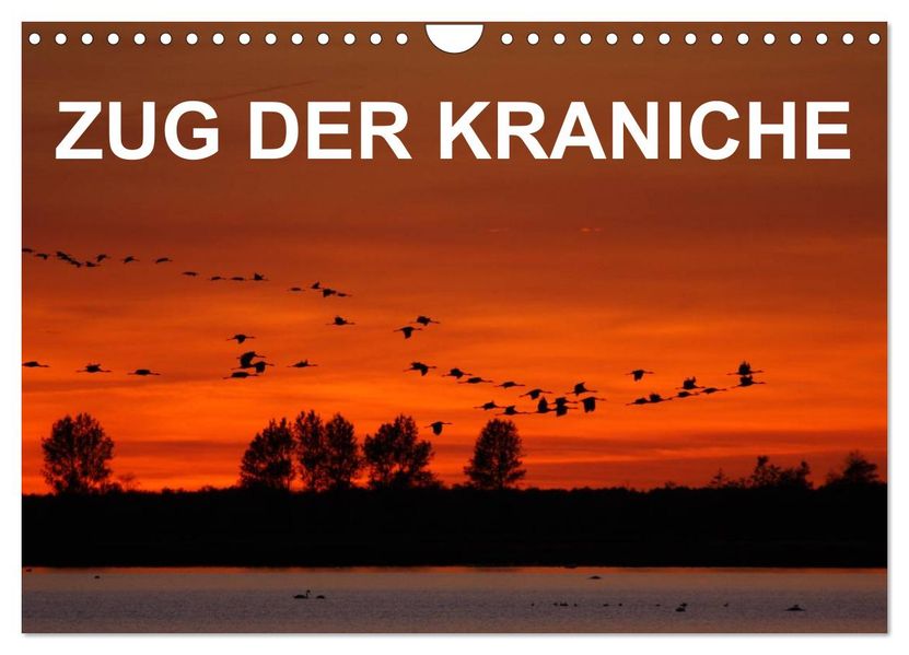 Zug der Kraniche (Wandkalender 2027 DIN A4 quer) CALVENDO Monatskalender