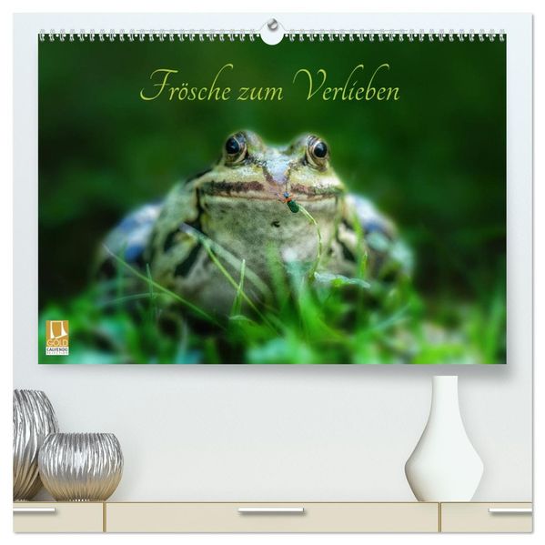 Frösche zum Verlieben (hochwertiger Premium Wandkalender 2027 DIN A2 quer) Kunstdruck in Hochglanz