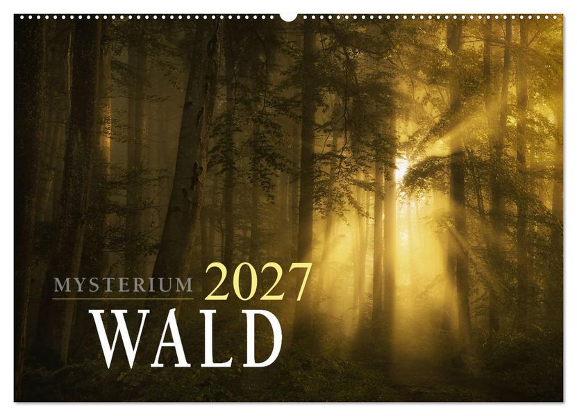Mysterium Wald (Wandkalender 2027 DIN A2 quer) CALVENDO Monatskalender