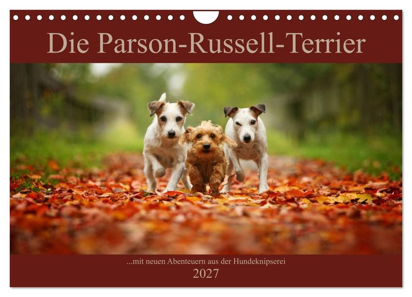 Die Parson-Russell-Terrier...mit neuen Abenteuern aus der Hundeknipserei (Wandkalender 2027 DIN A4 quer) CALVENDO Monatskalender