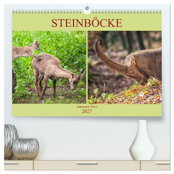 Steinböcke - imposante Tiere (hochwertiger Premium Wandkalender 2027 DIN A2 quer) Kunstdruck in Hochglanz
