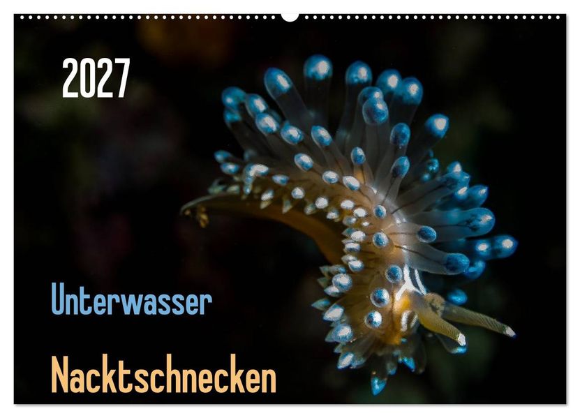 Unterwasser - Nacktschnecken 2027 (Wandkalender 2027 DIN A2 quer) CALVENDO Monatskalender