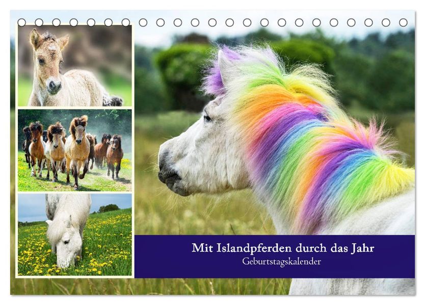 Mit Islandpferden durch das Jahr Geburtstagskalender (Tischkalender 2027 DIN A5 quer) CALVENDO Monatskalender