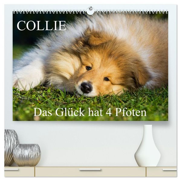 Collie - Das Glück hat 4 Pfoten (hochwertiger Premium Wandkalender 2027 DIN A2 quer) Kunstdruck in Hochglanz