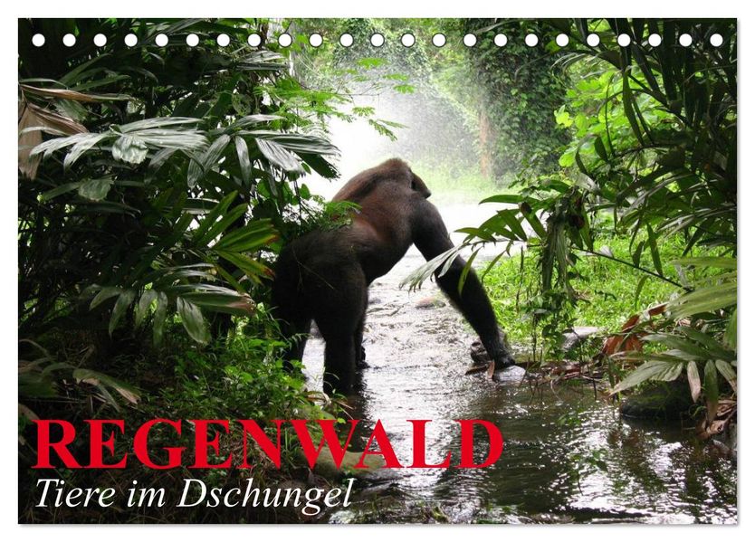 Regenwald Tiere im Dschungel (Tischkalender 2027 DIN A5 quer) CALVENDO Monatskalender