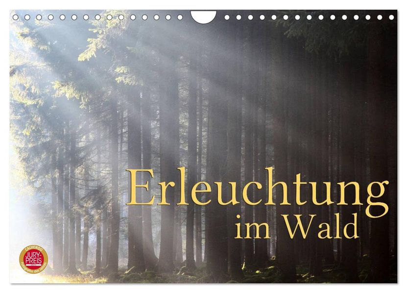 Erleuchtung im Wald (Wandkalender 2027 DIN A4 quer) CALVENDO Monatskalender