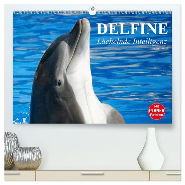 Delfine - Lächelnde Intelligenz (hochwertiger Premium Wandkalender 2027 DIN A2 quer) Kunstdruck in Hochglanz