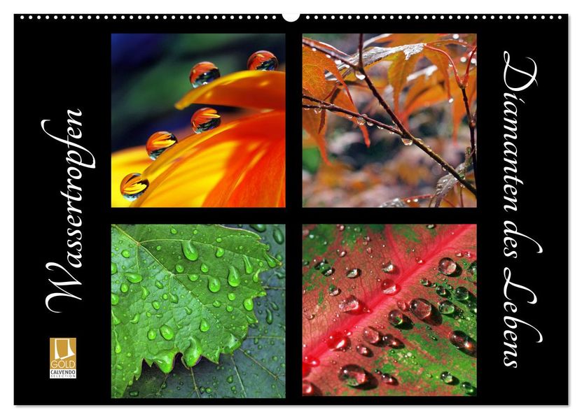 Wassertropfen - Diamanten des Lebens (Wandkalender 2027 DIN A2 quer) CALVENDO Monatskalender