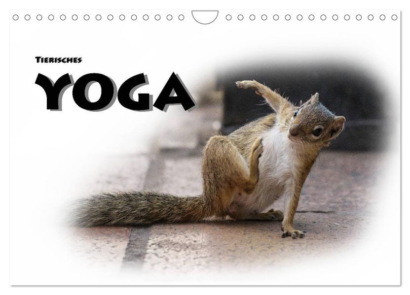 Tierisches Yoga (Wandkalender 2027 DIN A4 quer) CALVENDO Monatskalender