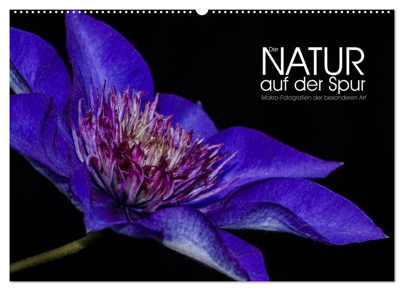 Der Natur auf der Spur - Makro-Fotografien der besonderen Art (Wandkalender 2027 DIN A2 quer) CALVENDO Monatskalender