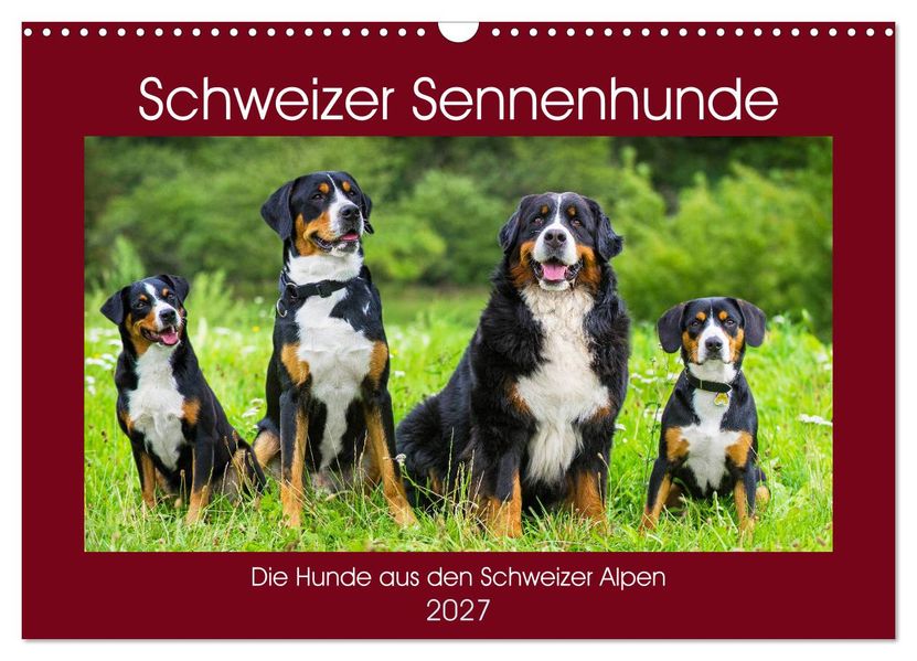 Schweizer Sennenhunde - die Hunde aus den Schweizer Alpen (Wandkalender 2027 DIN A3 quer) CALVENDO Monatskalender