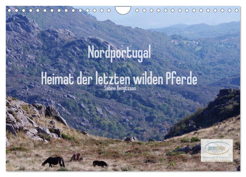 Nordportugal - Heimat der letzten wilden Pferde (Wandkalender 2027 DIN A4 quer) CALVENDO Monatskalender