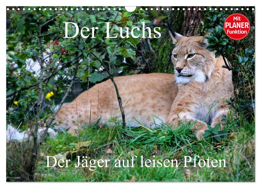 Der Luchs - Der Jäger auf leisen Pfoten (Wandkalender 2027 DIN A3 quer) CALVENDO Monatskalender