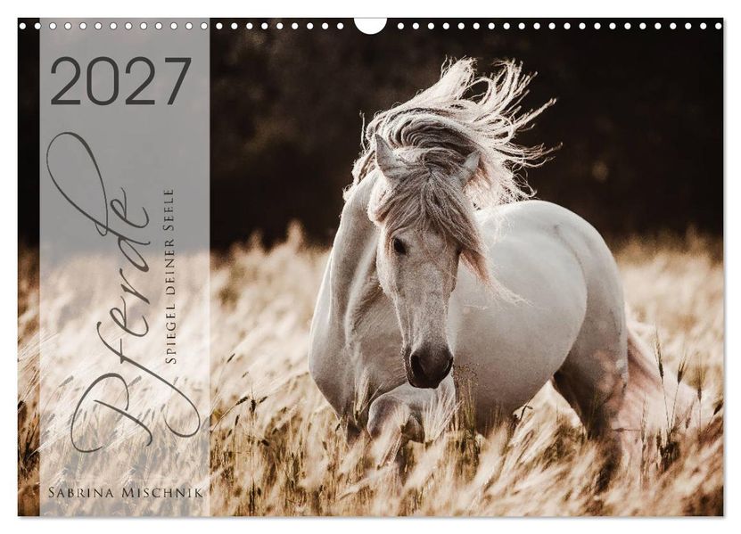 Spiegel deiner Seele (Wandkalender 2027 DIN A3 quer) CALVENDO Monatskalender