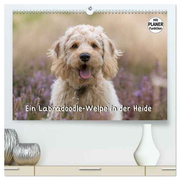 Ein Labradoodle-Welpe in der Heide (hochwertiger Premium Wandkalender 2027 DIN A2 quer) Kunstdruck in Hochglanz