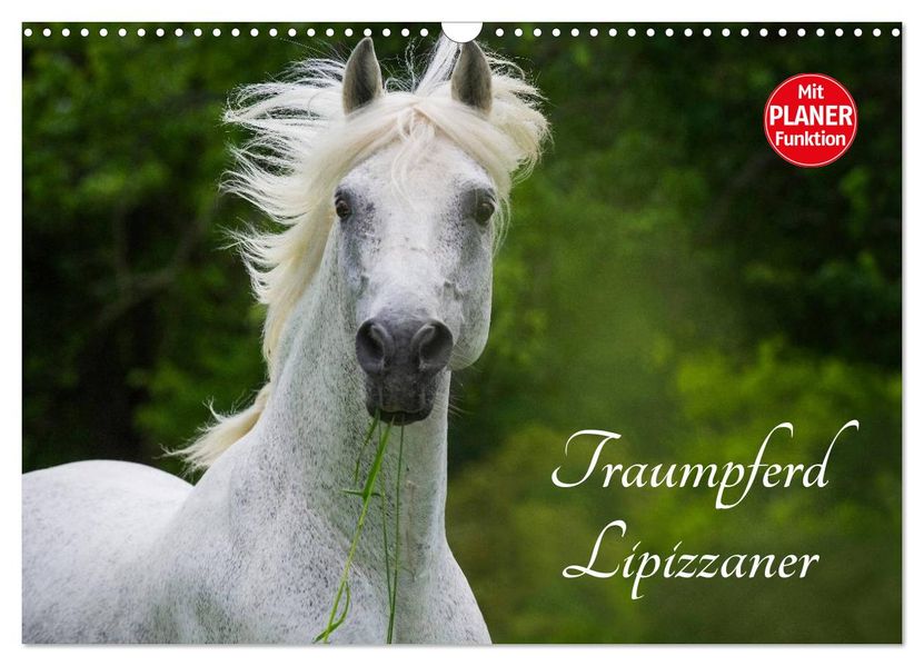 Traumpferd Lipizzaner (Wandkalender 2027 DIN A3 quer) CALVENDO Monatskalender
