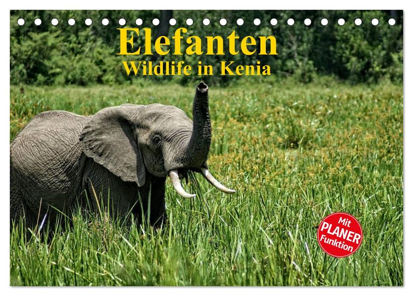 Elefanten. Wildlife in Kenia (Tischkalender 2027 DIN A5 quer) CALVENDO Monatskalender