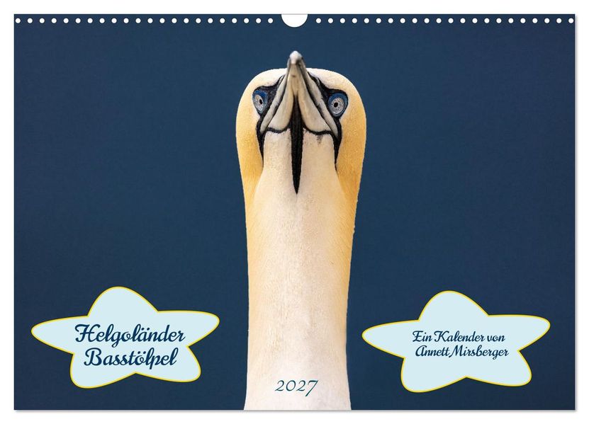 Helgoländer Basstölpel 2027 (Wandkalender 2027 DIN A3 quer) CALVENDO Monatskalender