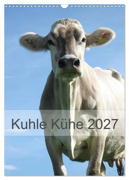 Kuhle Kühe 2027 (Wandkalender 2027 DIN A3 hoch) CALVENDO Monatskalender