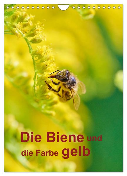 Die Biene und die Farbe gelb (Wandkalender 2027 DIN A4 hoch) CALVENDO Monatskalender