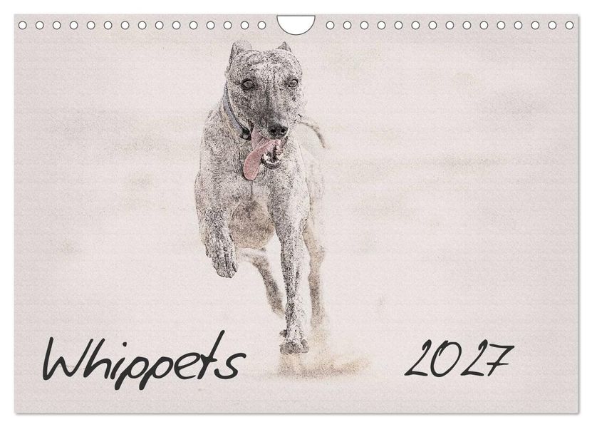 Whippets 2027 (Wall Calendar 2027 DIN A4 landscape) CALVENDO 12 Month Wall Calendar