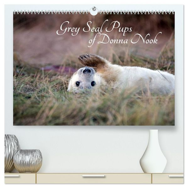 Grey Seal Pups of Donna Nook (High Quality Premium Wall Calendar 2027 DIN A2 landscape)CALVENDO 12 Month Wall Calendar