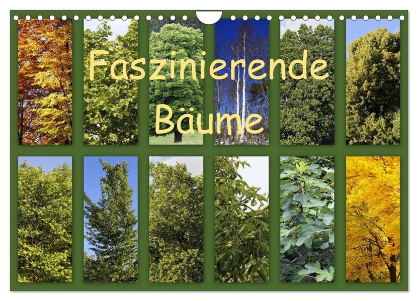 Faszinierende Bäume (Wandkalender 2027 DIN A4 quer) CALVENDO Monatskalender